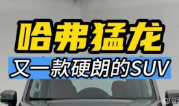 越野大队报复爆料人视频,真相令人震惊
