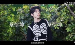 爆料视频蔡徐坤