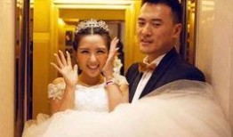 苏醒爆料何洁离婚原因视频,何洁离婚背后的惊人真相