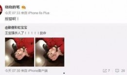 娱乐吃瓜酱男的女的